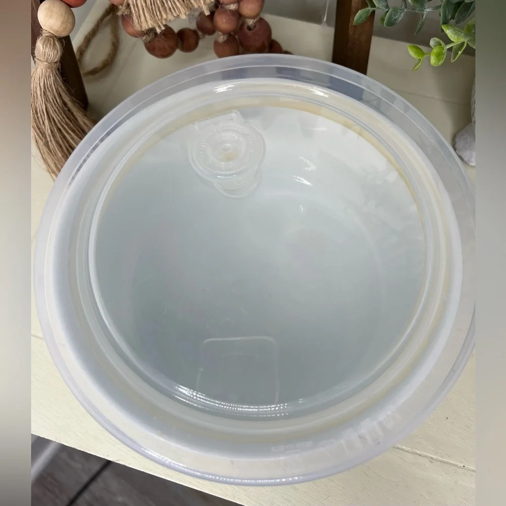 ZRIKE -32 Oz Round Plastic Microwave Bowl w/Vent Lid (Rudolph Christmas)